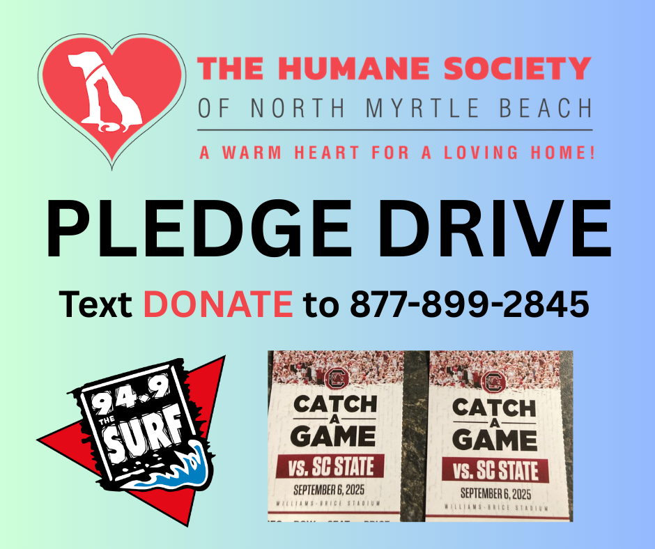 pledge-details