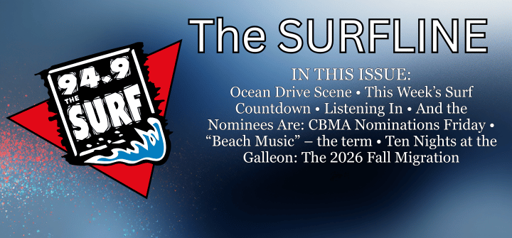 Surfline Newsletter